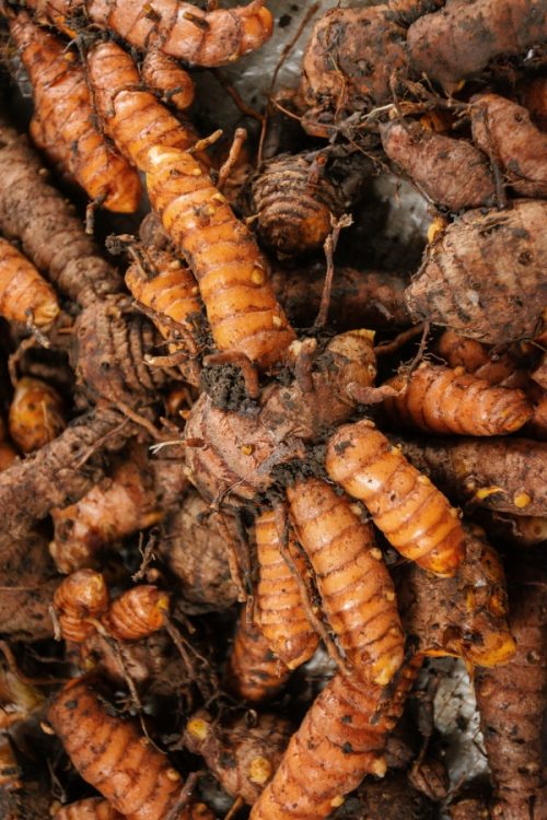 Turmeric & Black Pepper Tincture - Image 5