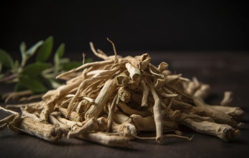 Ashwagandha Tincture - Image 4