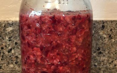 Fermented Cranberry Sauce