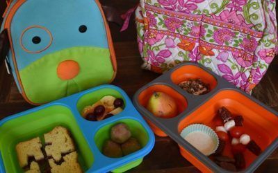 School Box Lunches Made Easy